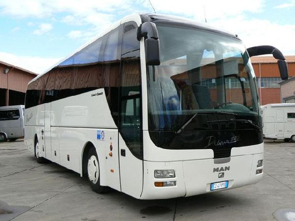 bus 56 posti bus 56 posti