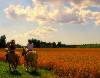 VACANZE  A CORCIANO IN UMBRIA… NON SOLO RELAX…