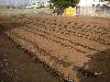 Taranto terreno agricolo in via Caledonie - Lama - Divisione Casa Immobiliare di Roberto Cossu